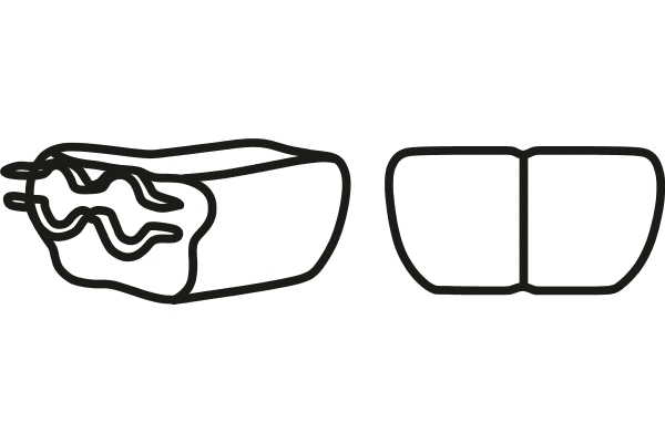 Exhaust Pipe (P76049)