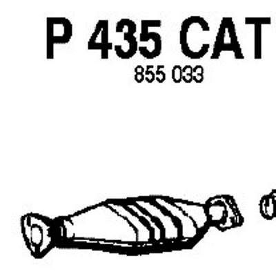 Catalytic Converter (P435CAT)
