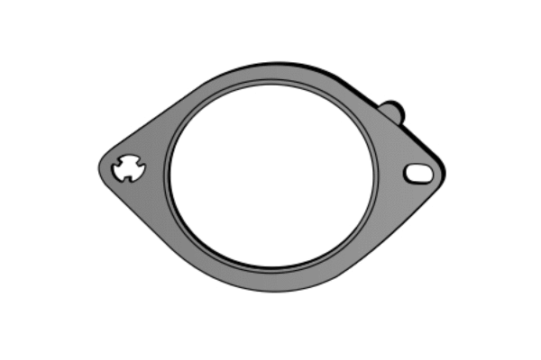 Gasket, exhaust pipe (X75313)
