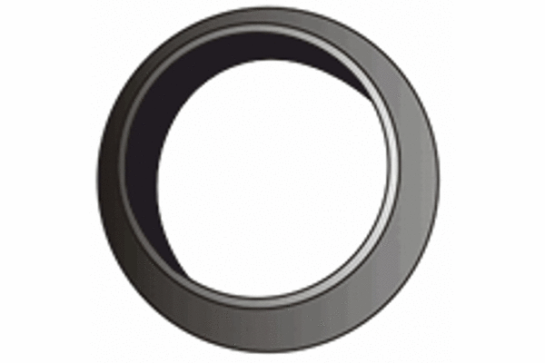 Seal Ring, exhaust pipe (X20124)