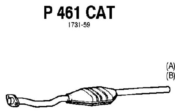Catalytic Converter (P461CAT)