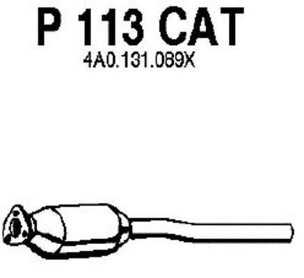 Catalytic Converter (P113CAT)