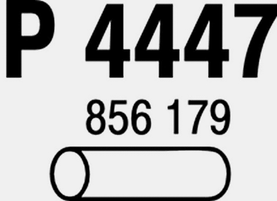 Exhaust Pipe (P4447)