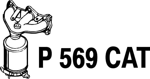 Catalytic Converter (P569CAT)