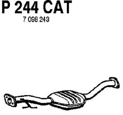 Catalytic Converter (P244CAT)
