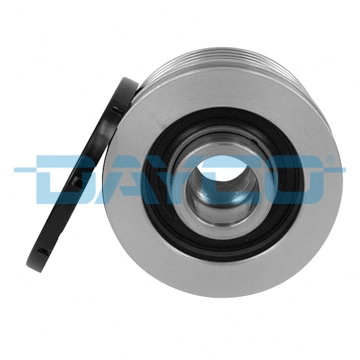 Alternator Freewheel Clutch (ALP2402)
