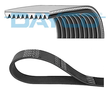 V-Ribbed Belt (10PK1768HD)