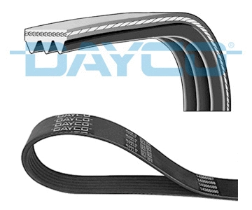 V-Ribbed Belt (3PK576EE)