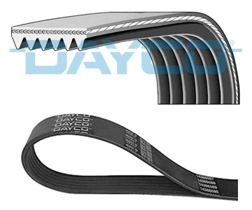 V-Ribbed Belt (6PK2490)