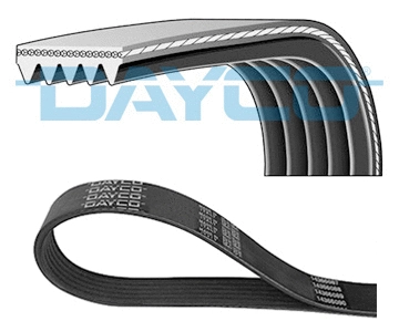 V-Ribbed Belt (5PK1435)