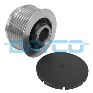 Alternator Freewheel Clutch (ALP2449)