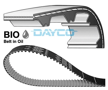 Timing Belt (941121)