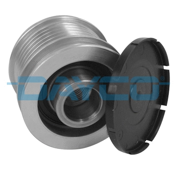 Alternator Freewheel Clutch (ALP2407)