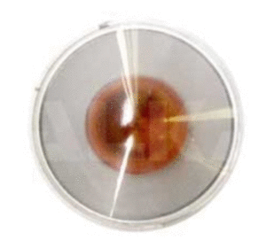 Direction Indicator (2545,604,1)