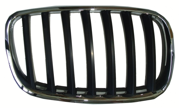 Radiator Grille