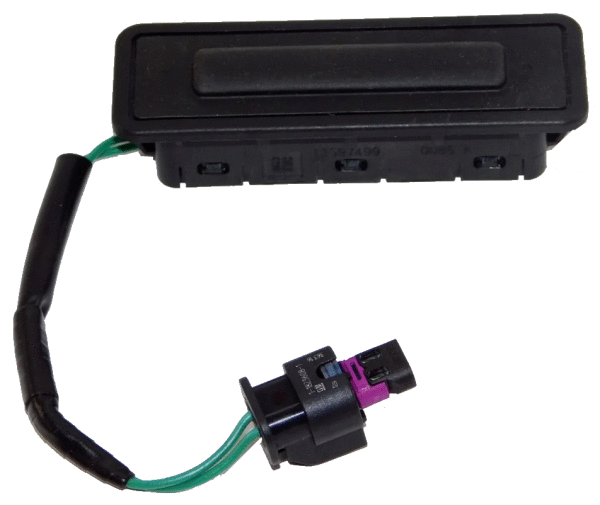 Tailgate Handle (4693,245,1)