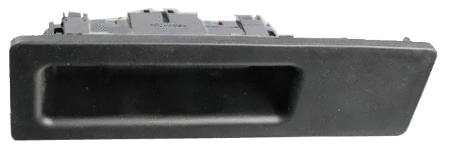 Tailgate Handle (1726,245,1)