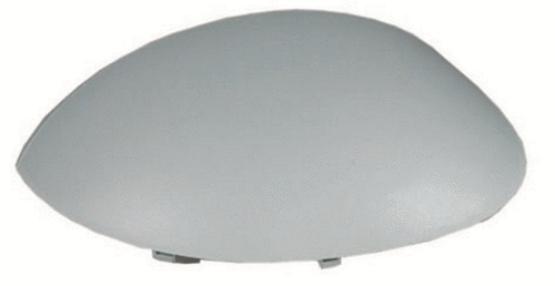 Cover, exterior mirror (4821,721,1)