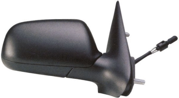 Exterior Mirror (1987,702,1)