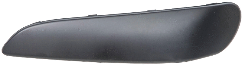 Trim/Protection Strip, bumper