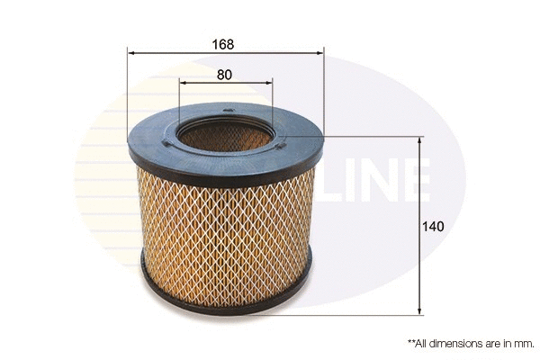 Air Filter (CIZ12015)