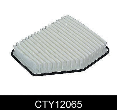 Air Filter (CTY12065)