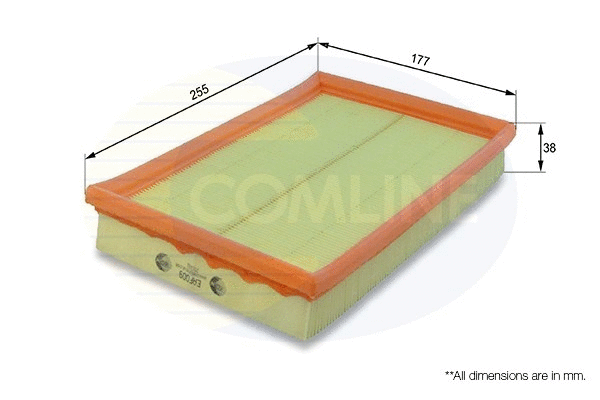 Air Filter (EAF009)