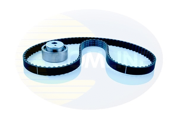 Timing Belt Kit (CTBK011)