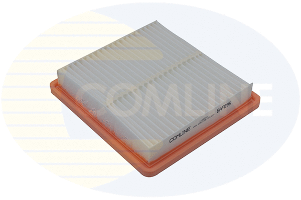Air Filter (EAF896)