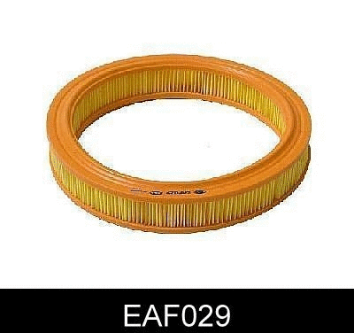 Air Filter (EAF029)