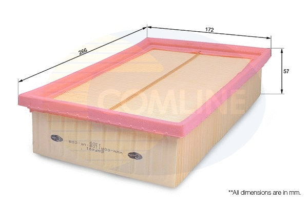 Air Filter (EAF491)