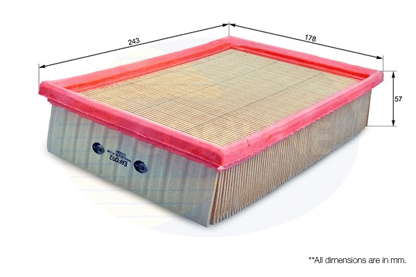 Air Filter (EAF092)