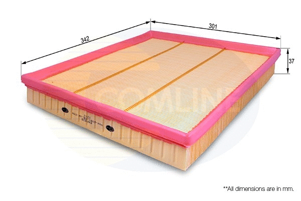 Air Filter (EAF829)
