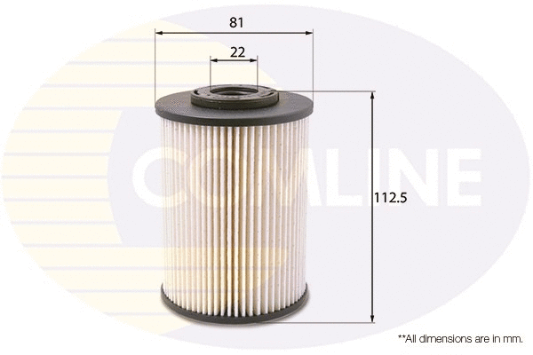 Fuel Filter (EFF189)