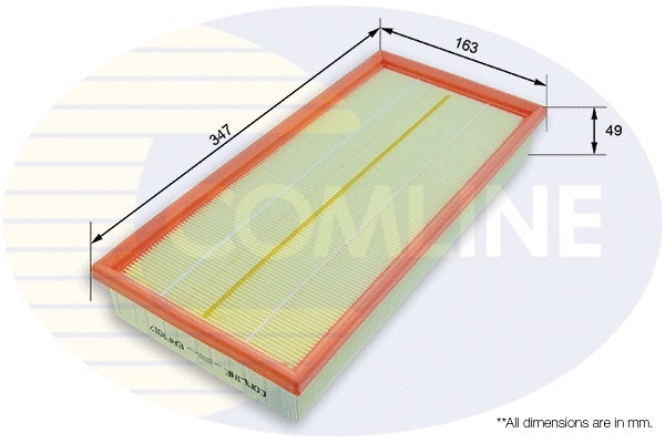Air Filter (EAF1017)