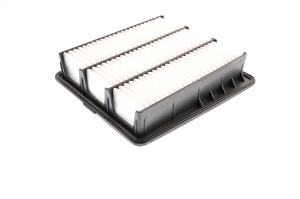 Air Filter (EAF746)