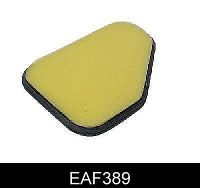 Air Filter (EAF389)
