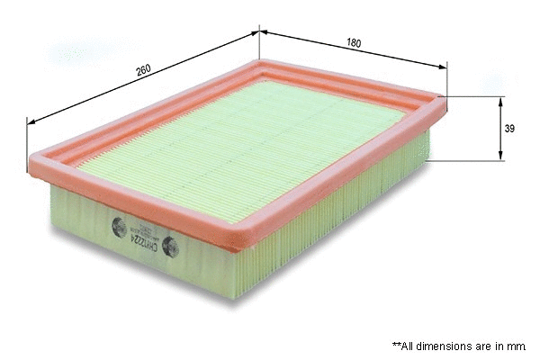 Air Filter (CHY12224)