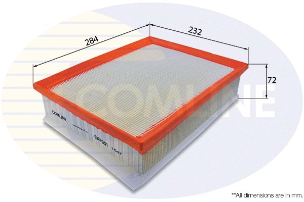Air Filter (EAF951)