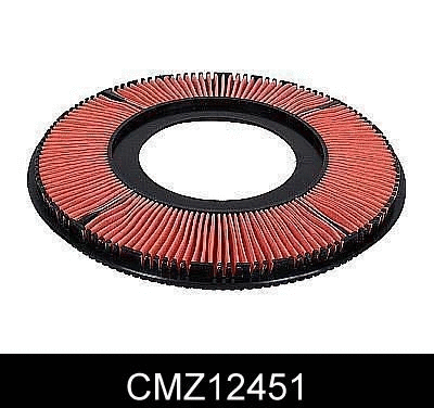 Air Filter (CMZ12451)