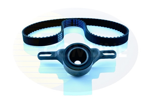 Timing Belt Kit (CTBK089)