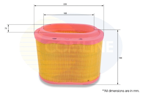 Air Filter (CHY12263)