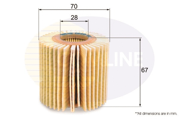 Oil Filter (EOF245)