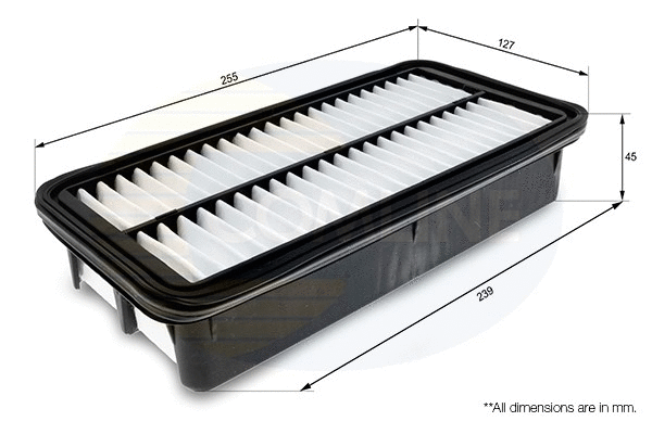 Air Filter (CHY12266)