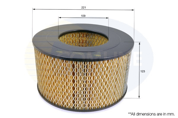 Air Filter (CTY12071)