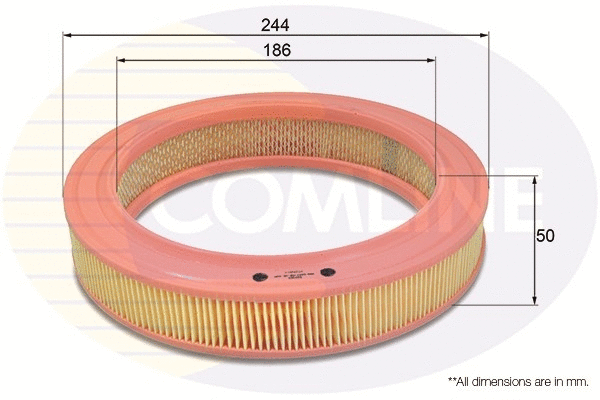 Air Filter (EAF002)