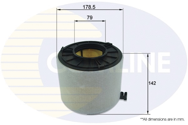 Air Filter (EAF991)
