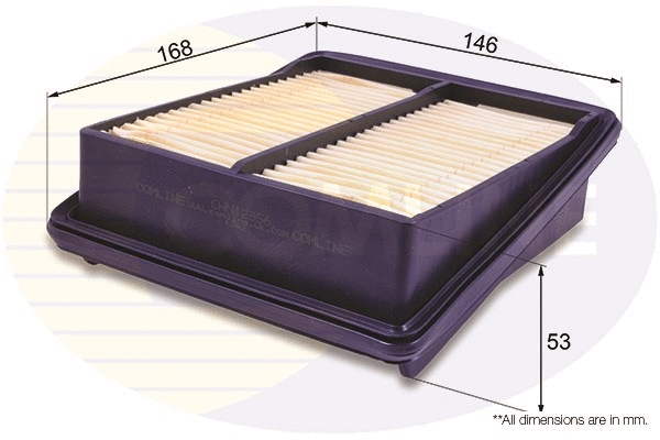 Air Filter (CHN12856)