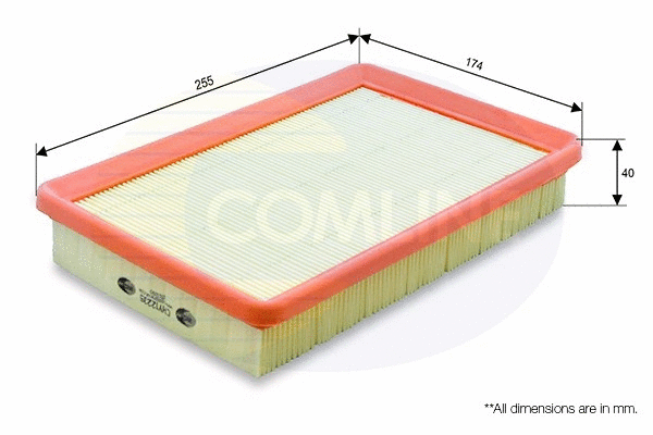 Air Filter (CHY12235)