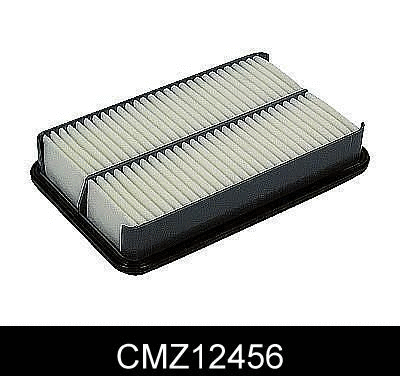 Air Filter (CMZ12456)
